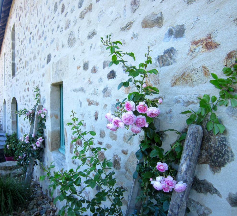 Les 5 Petits Lapins Bar Exterior foto